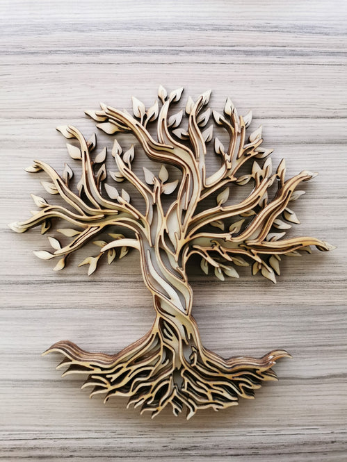 Omtech lasercutter