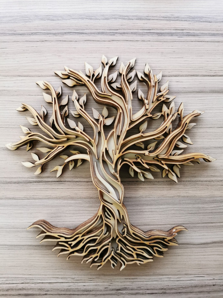 Omtech lasercutter